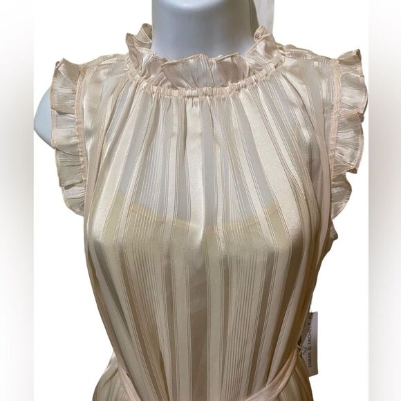 NWT Ethereal Shimmering Champagne Sheer Chiffon Tiered Maxi Dress Cottage Fairy - Picture 4 of 15